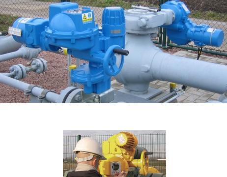 ��ͥ�е��[����������---ë��